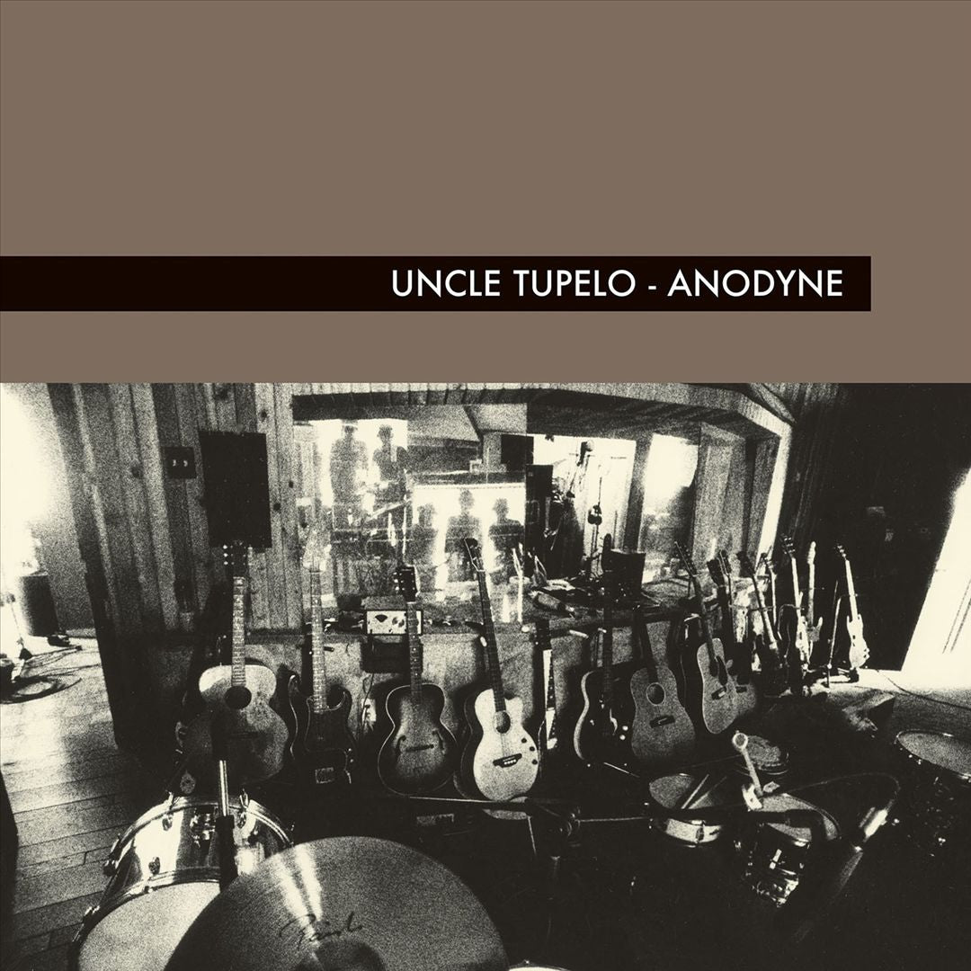 Anodyne cover art
