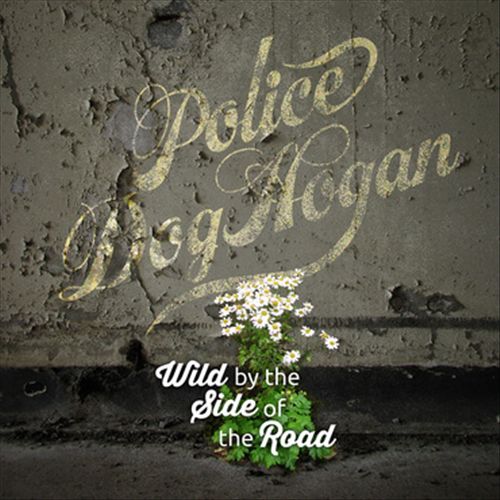 Wild By the Side of the Road cover art