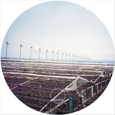 Butterfly Effect cover art