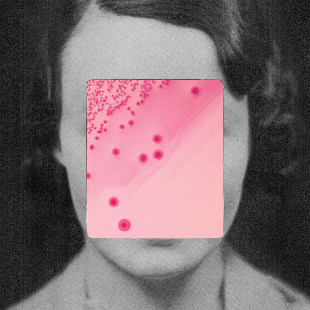This Quiet Fire cover art