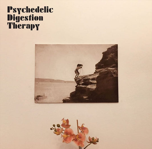 Psychedelic Digestion Therapy cover art