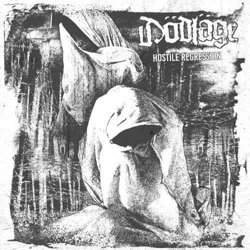 Hostile Regression cover art