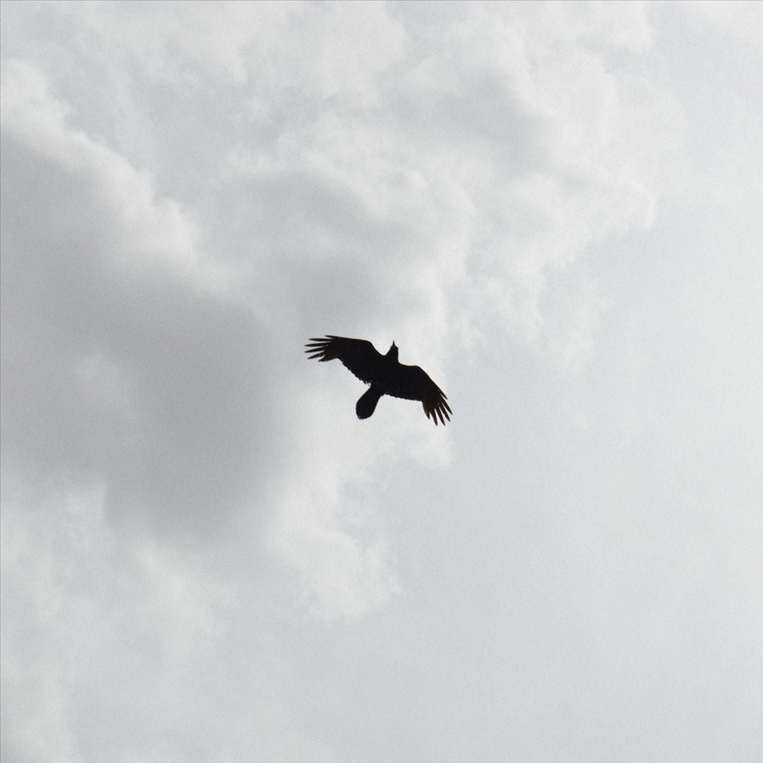 These Stars cover art