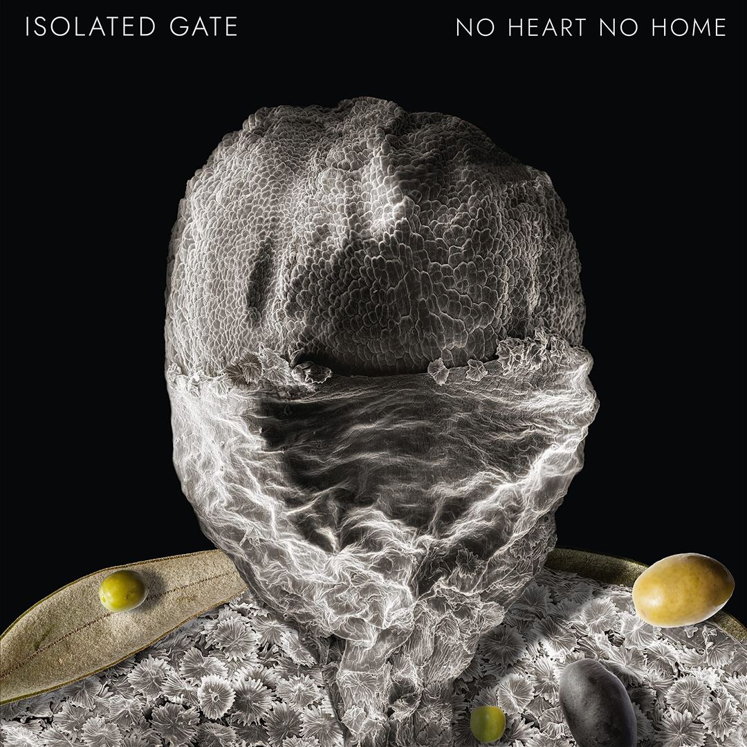 No Heart No Home cover art