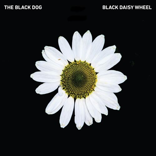 Black Daisy Wheel cover art