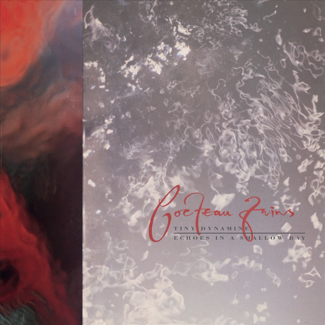 Tiny Dynamine/Echoes in a Shallow Bay [LP] cover art