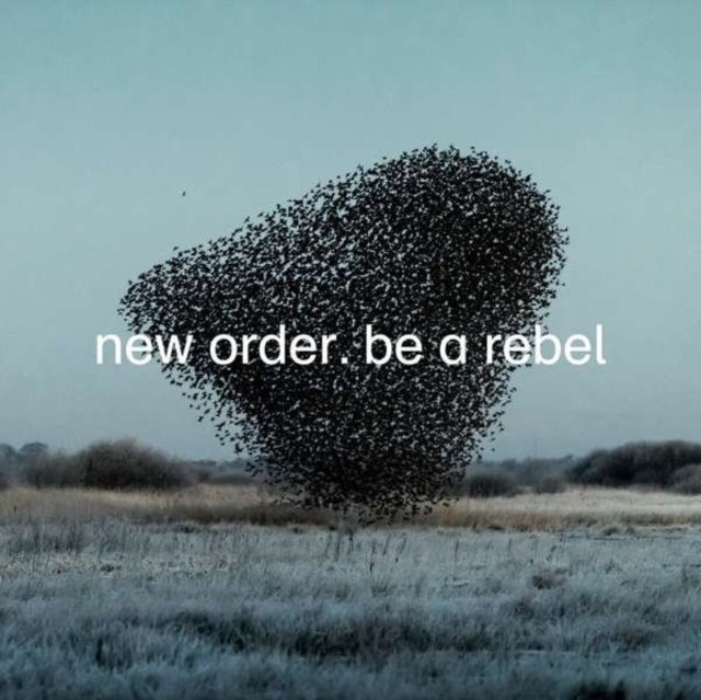 BE A REBEL cover art