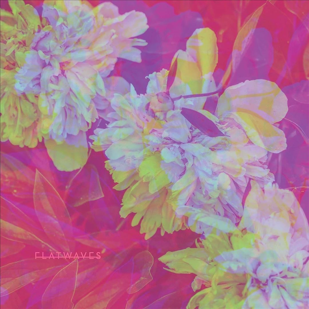 Numbra cover art