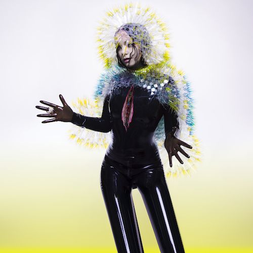Vulnicura [LP] cover art