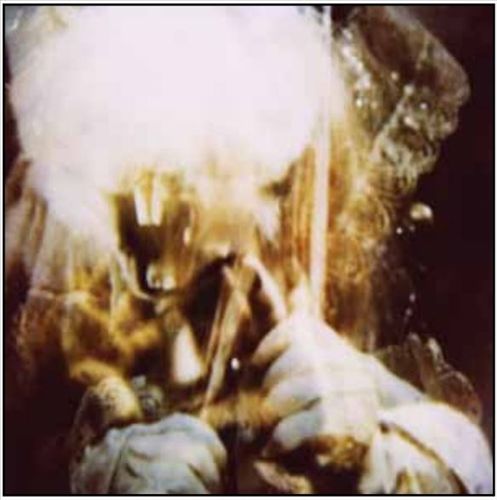 Skinwalker cover art