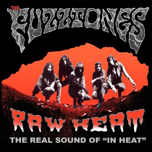 Raw Heat: Real Sound of in Heat cover art