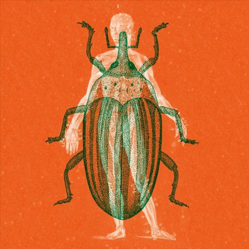 Voodoo Questions cover art