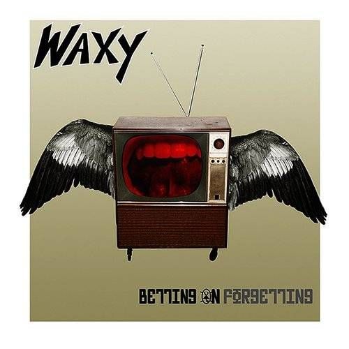 Betting on Forgetting cover art