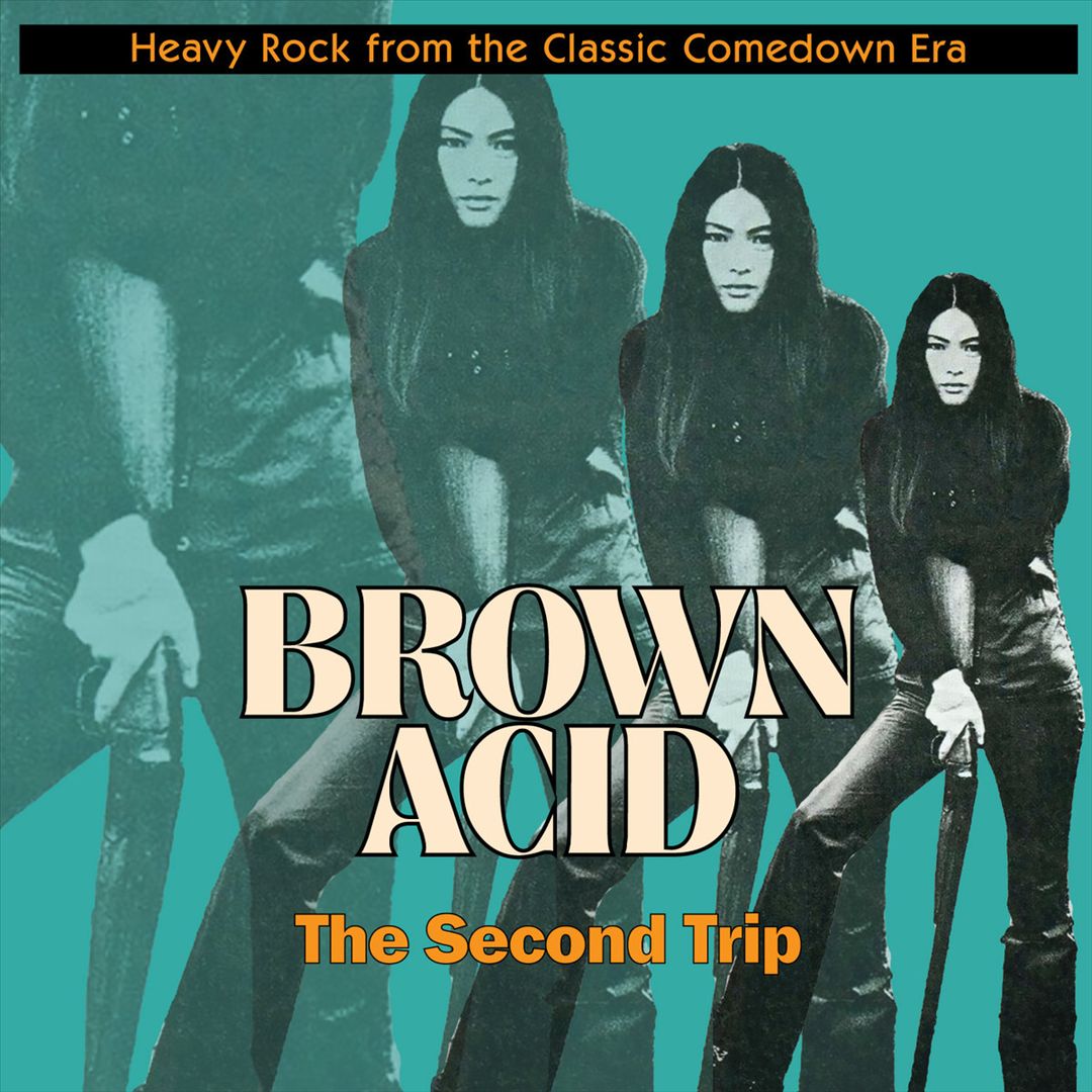 Brown Acid: The Second Trip cover art