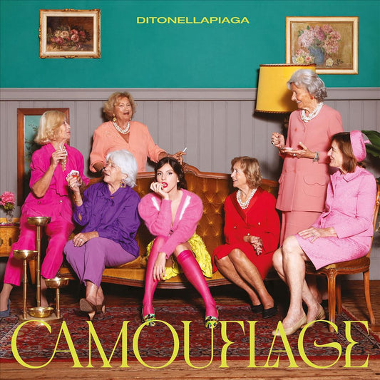 Camouflage cover art