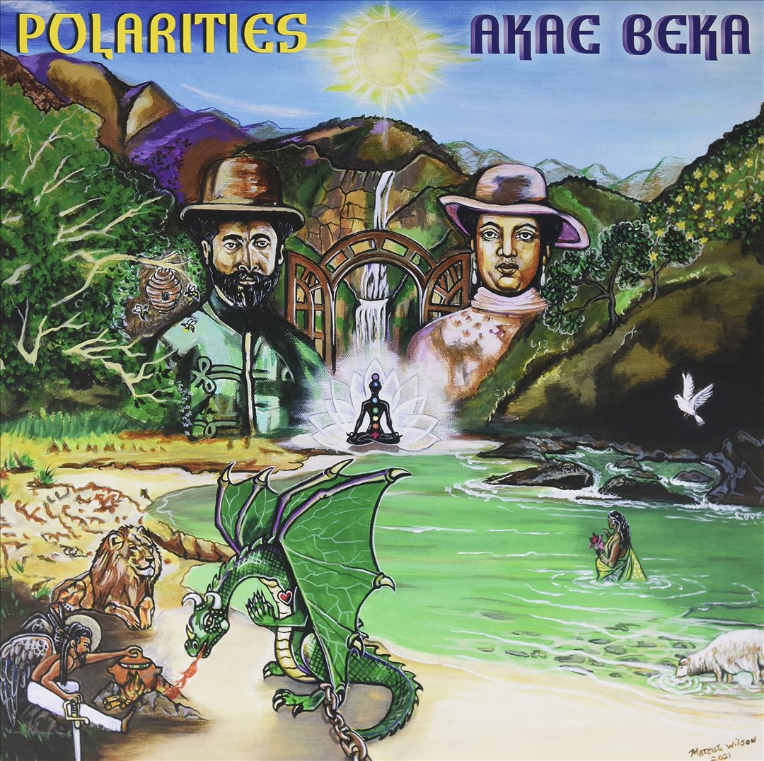 Polarities cover art