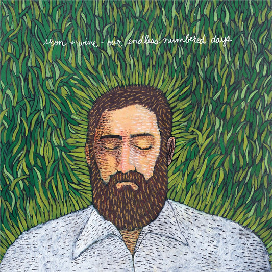 Our Endless Numbered Days cover art