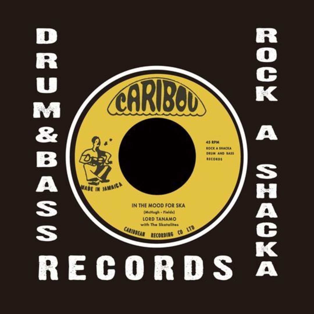 In the Mood for Ska cover art