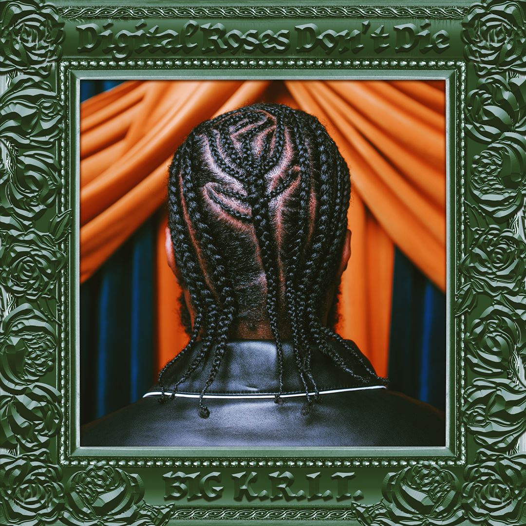 Digital Roses Don't Die cover art