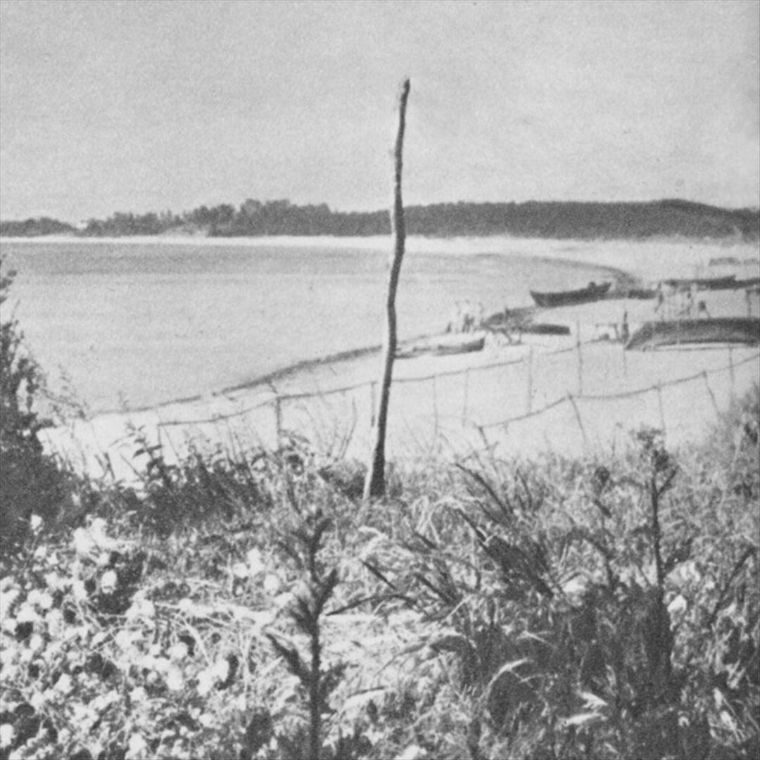 Battering Rams cover art