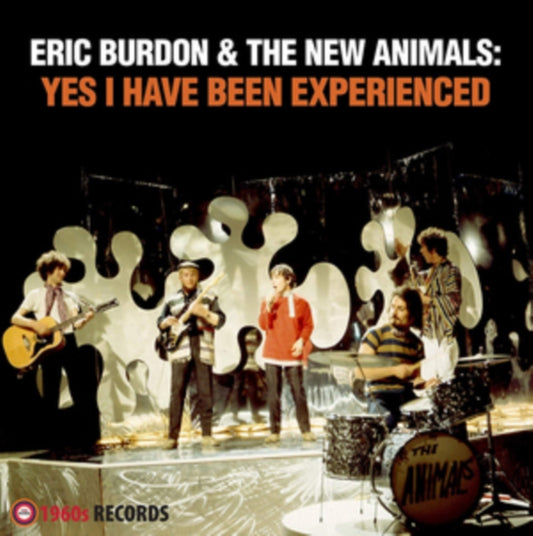 YES I HAVE BEEN EXPERIENCED cover art