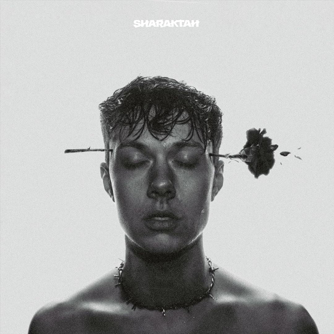 Blumen wachsen durch Beton cover art