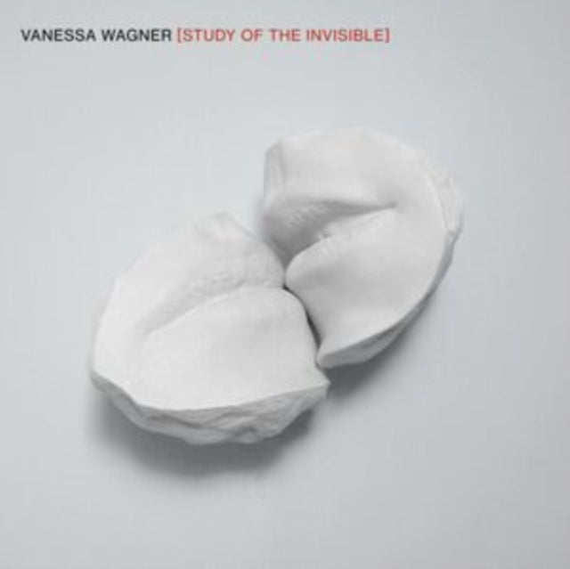 STUDY OF THE INVISIBLE (2LP) cover art