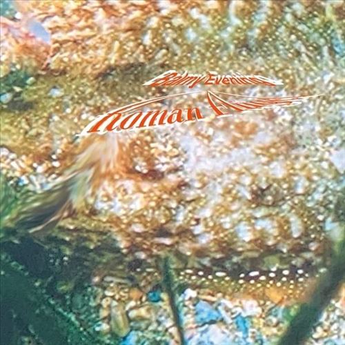 Balmy Evening cover art