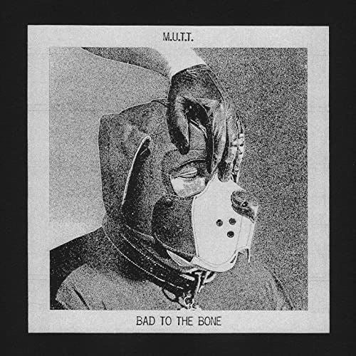 Bad to the Bone cover art