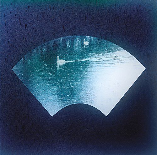 Leaves in a Stream cover art