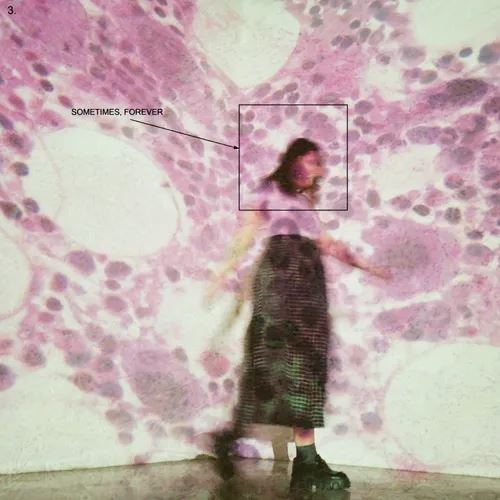Sometimes, Forever cover art