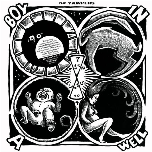 Boy in a Well cover art