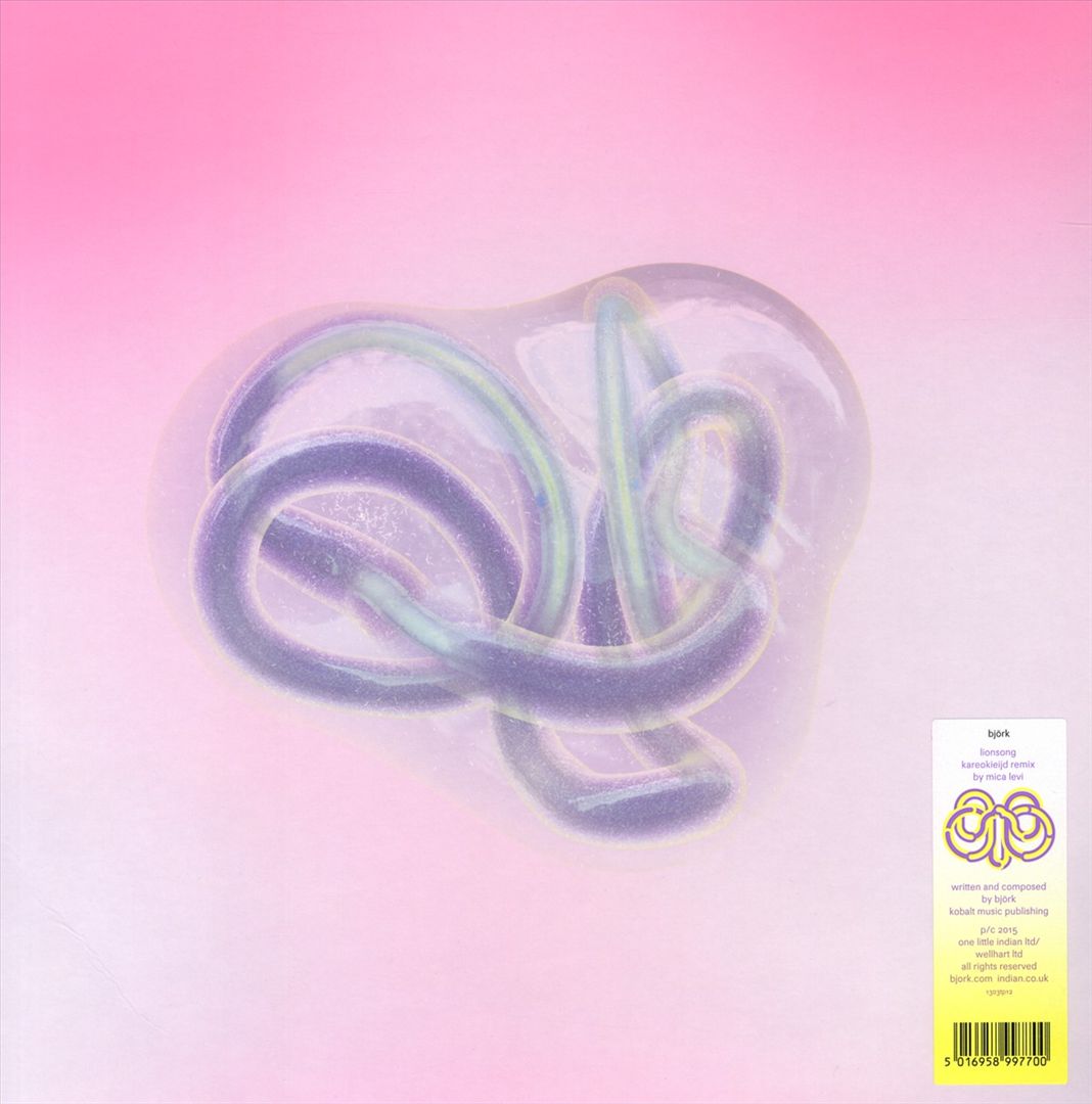 Lionsong [Kareokieijd Remix by Mica Levi] cover art