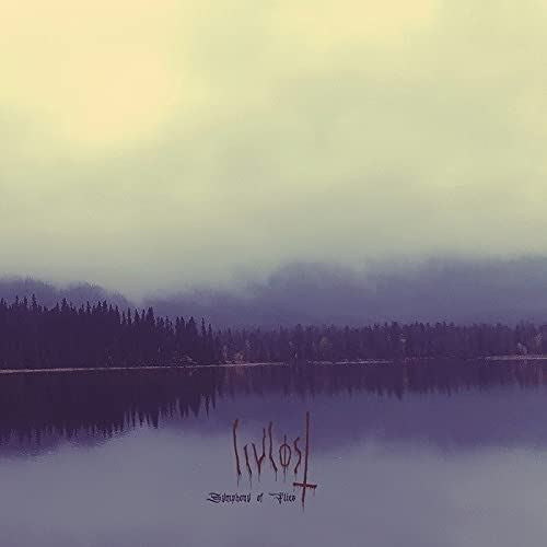 Symphony of Flies cover art