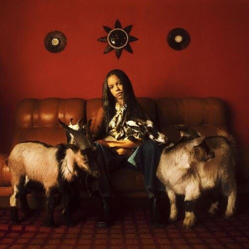 Capricorn Sun cover art