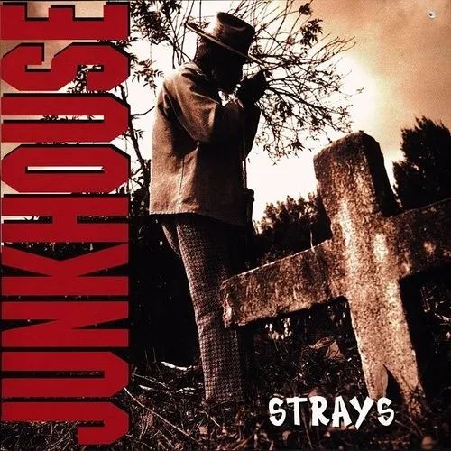Strays cover art