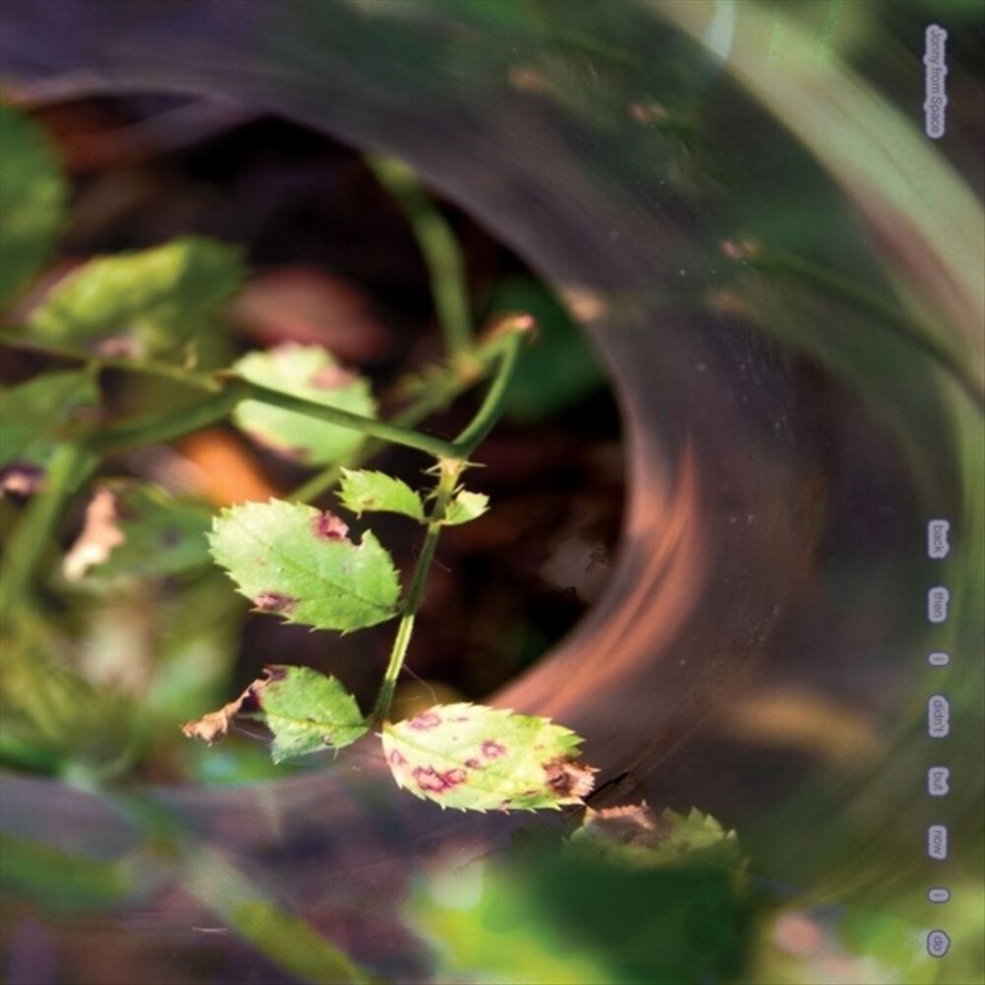 Back Then I Didn't But Now I Do cover art