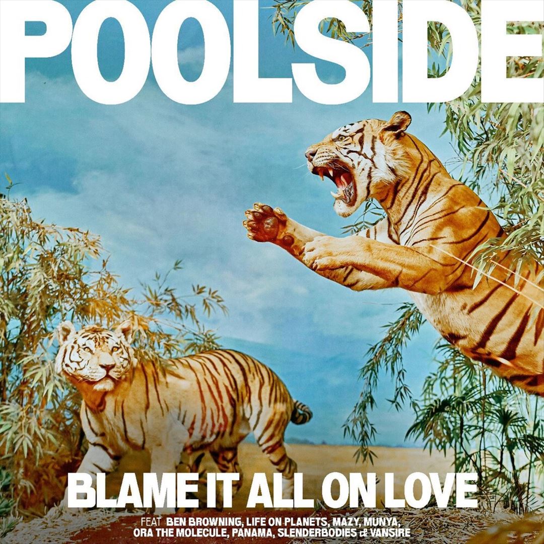 Blame It All on Love cover art