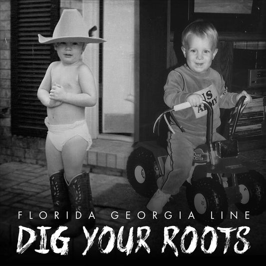 Dig Your Roots cover art
