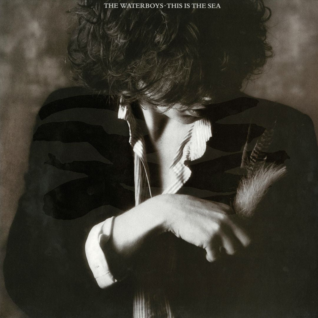 This Is the Sea [LP] cover art