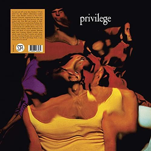 Privilege cover art