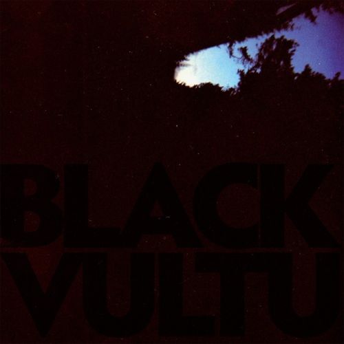 Black Vultures cover art