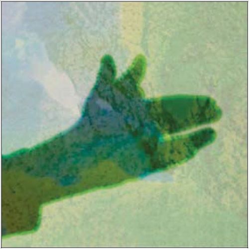 Camo cover art
