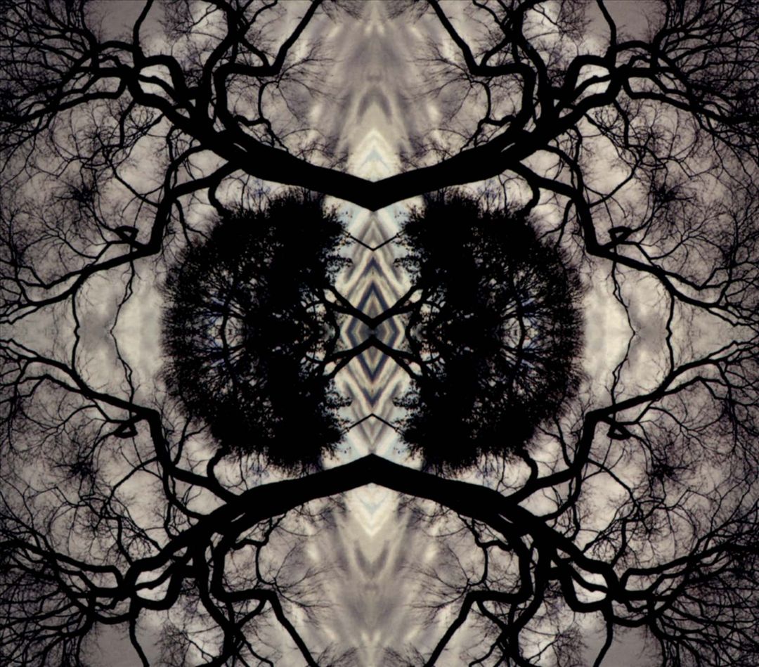 Sonic Mandala cover art