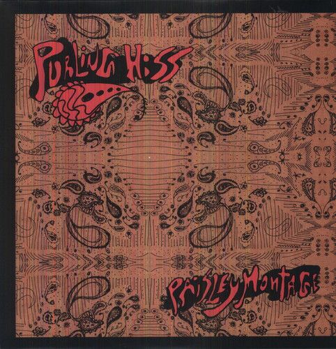 Paisley Montage cover art