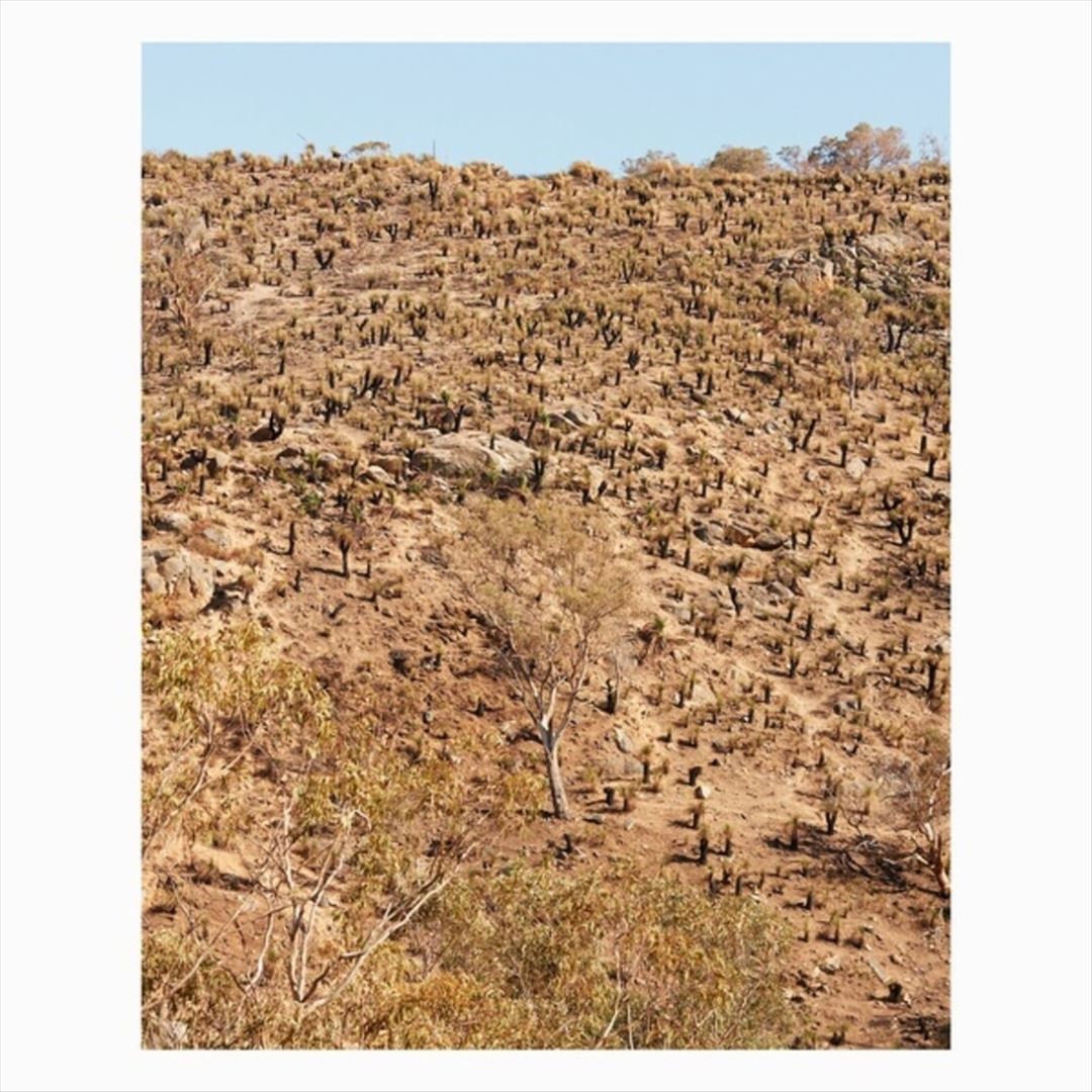 Palimpsests cover art