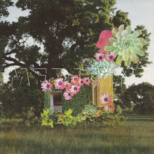 Home Everywhere [LP] cover art