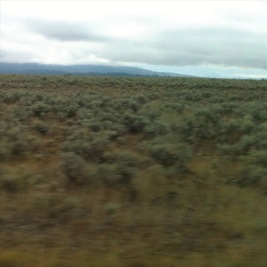 50,000,000 Elvis Fans Can't Be Wrong [LP] cover art