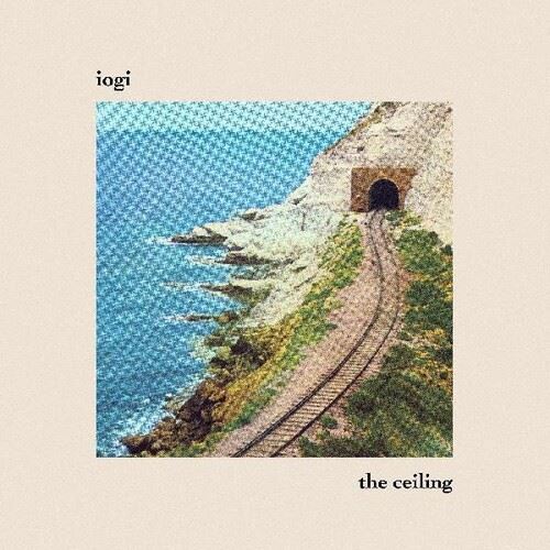 Ceiling cover art