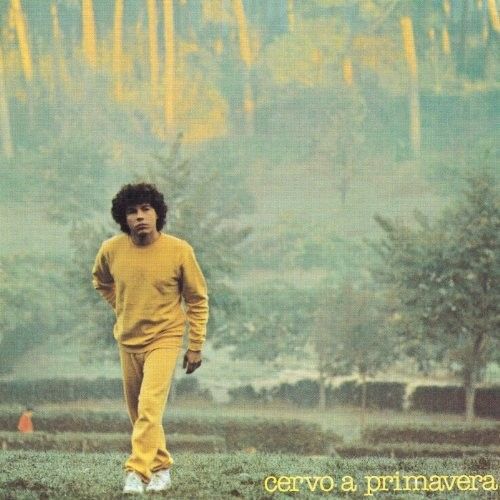 Cervo a Primavera cover art